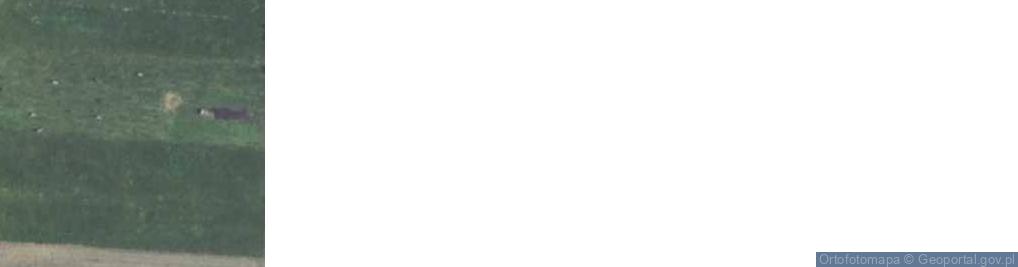 Zdjęcie satelitarne Nowa Wieś ul.