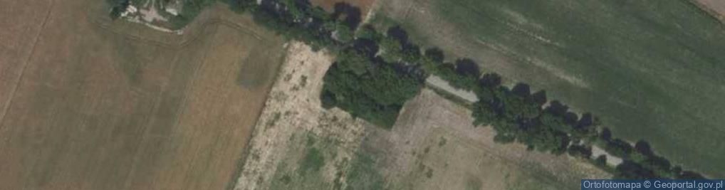 Zdjęcie satelitarne Nowa Wieś ul.