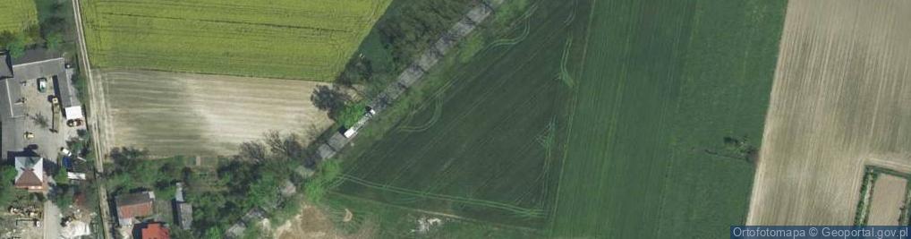 Zdjęcie satelitarne Nowa Wieś ul.