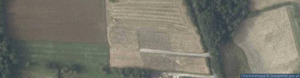 Zdjęcie satelitarne Nowa Wieś ul.