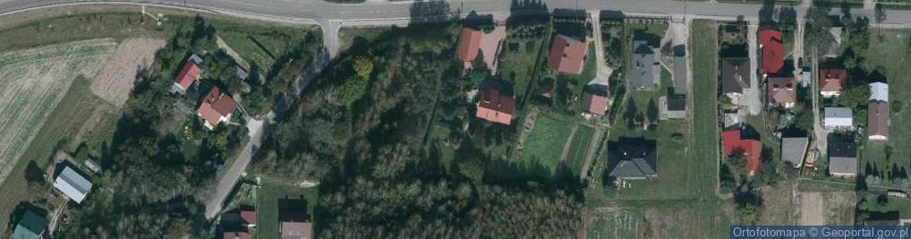 Zdjęcie satelitarne Nowa Wieś ul.