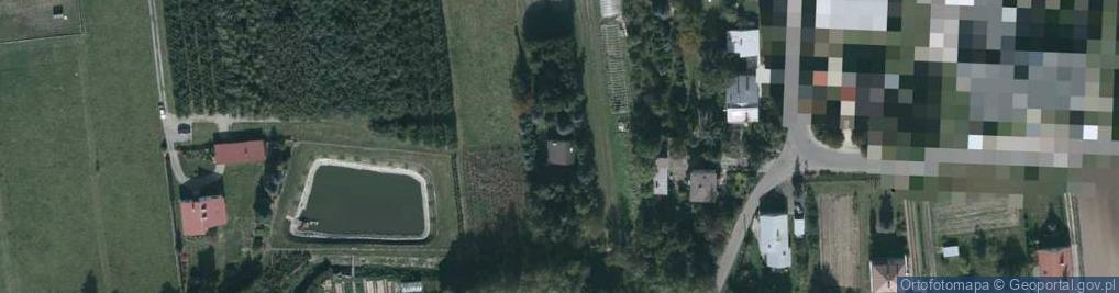 Zdjęcie satelitarne Nowa Wieś ul.