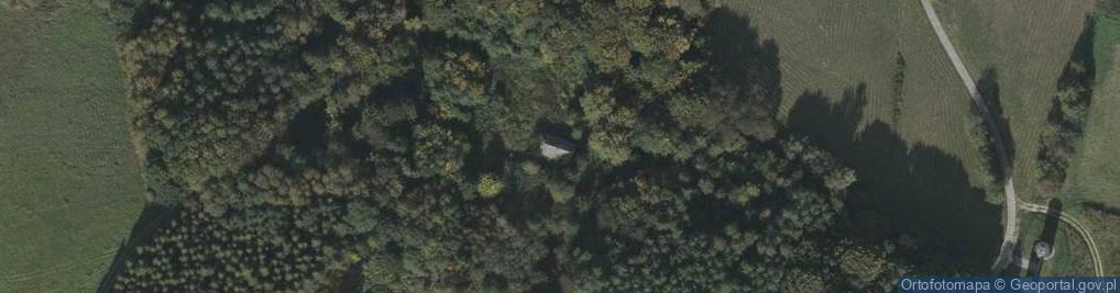 Zdjęcie satelitarne Nowa Wieś ul.