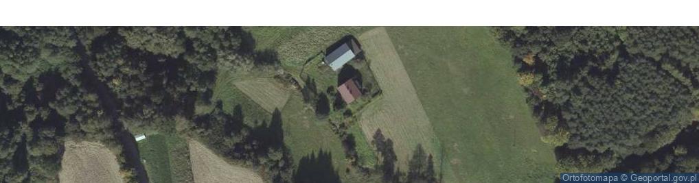 Zdjęcie satelitarne Nowa Wieś ul.