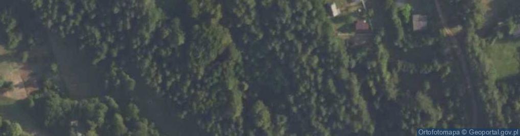 Zdjęcie satelitarne Nowa Wieś ul.