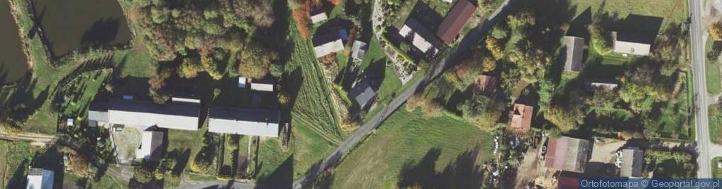 Zdjęcie satelitarne Nowa Wieś ul.