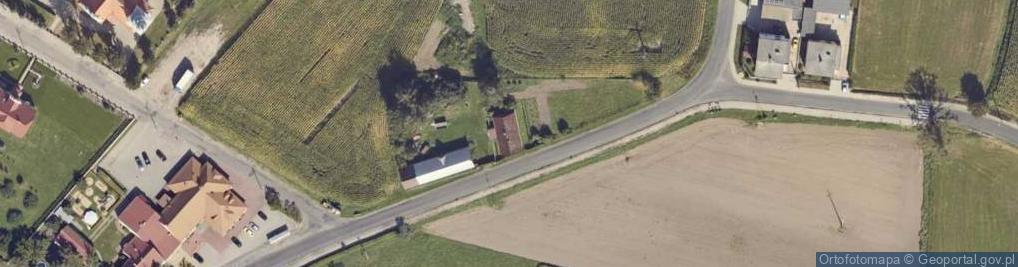 Zdjęcie satelitarne Nowa Wieś ul.