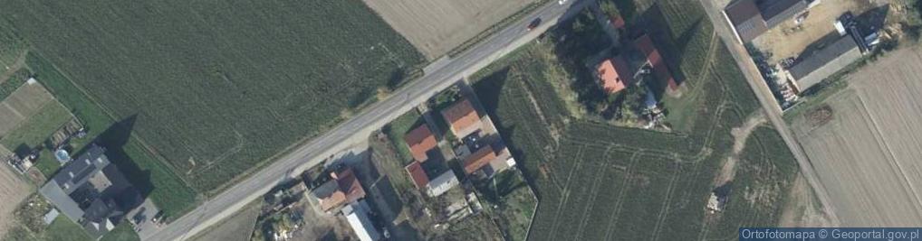 Zdjęcie satelitarne Nowa Wieś ul.
