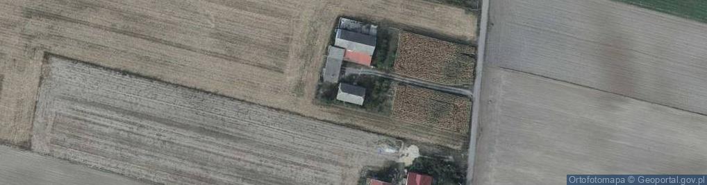 Zdjęcie satelitarne Nowa Wieś ul.