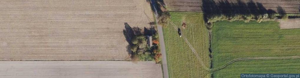 Zdjęcie satelitarne Nowa Wieś ul.
