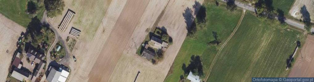 Zdjęcie satelitarne Nowa Wieś ul.