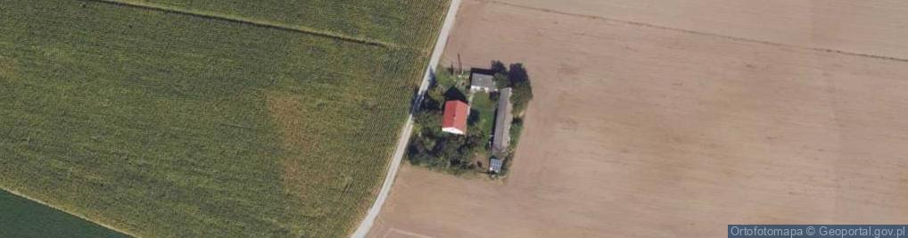 Zdjęcie satelitarne Nowa Wieś ul.