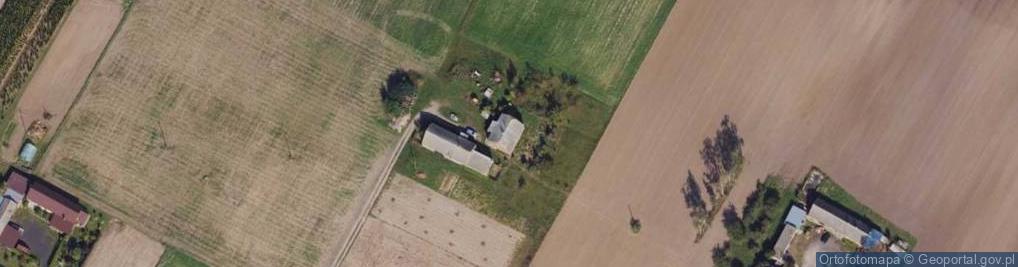 Zdjęcie satelitarne Nowa Wieś ul.