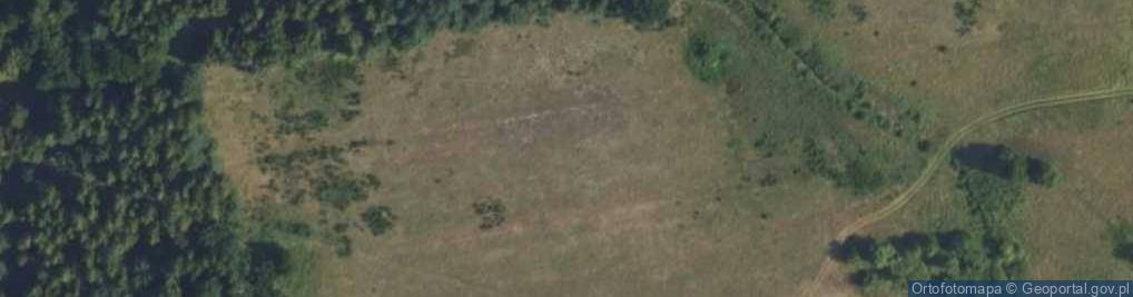 Zdjęcie satelitarne Nowa Wieś ul.