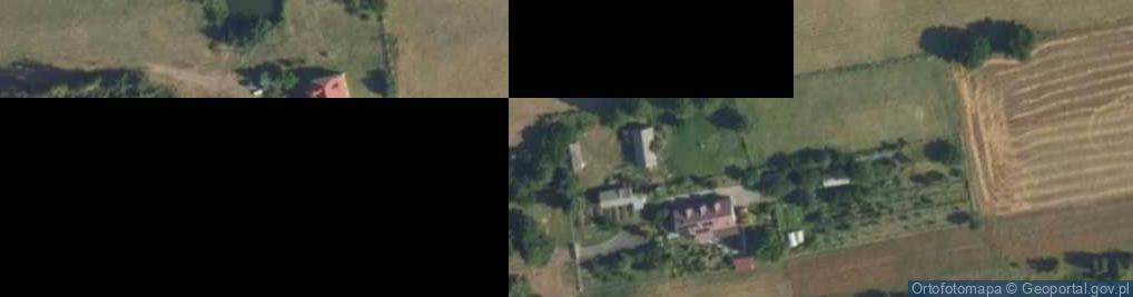 Zdjęcie satelitarne Nowa Wieś ul.