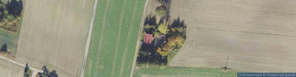 Zdjęcie satelitarne Nowa Wiśniewka ul.