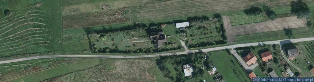 Zdjęcie satelitarne Nowa Wola ul.