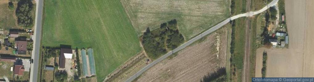 Zdjęcie satelitarne Nowa Wola ul.