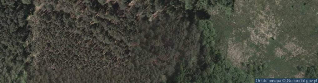 Zdjęcie satelitarne Nowe Baraki ul.