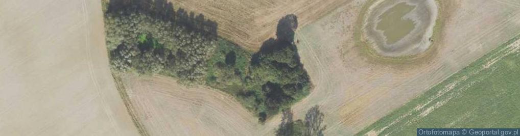 Zdjęcie satelitarne Nowe Błonowo ul.