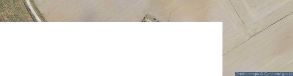 Zdjęcie satelitarne Nowe Błonowo ul.