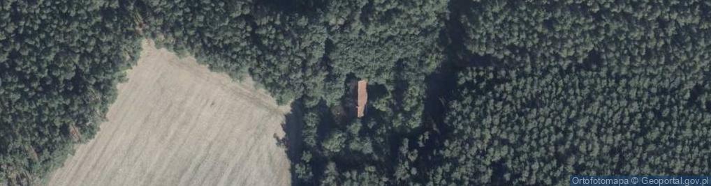 Zdjęcie satelitarne Nowe Brzeźno ul.