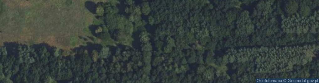 Zdjęcie satelitarne Nowe Budy ul.