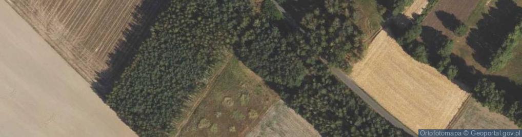Zdjęcie satelitarne Nowe Czaple ul.