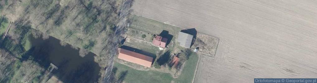 Zdjęcie satelitarne Nowe Dłutowo ul.