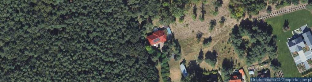 Zdjęcie satelitarne Nowe Dobra ul.