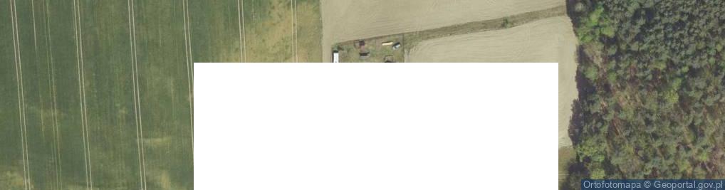 Zdjęcie satelitarne Nowe Dzieduszyce ul.