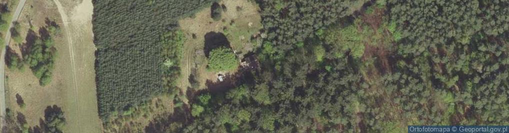 Zdjęcie satelitarne Nowe Dzieduszyce ul.