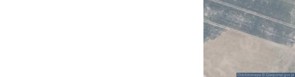 Zdjęcie satelitarne Nowe Gołębiewko ul.