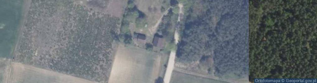 Zdjęcie satelitarne Nowe Gołębiewko ul.