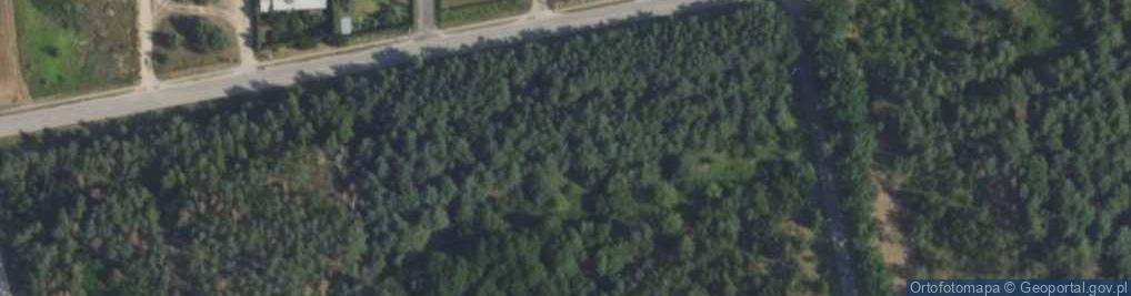 Zdjęcie satelitarne Nowe Grochale ul.