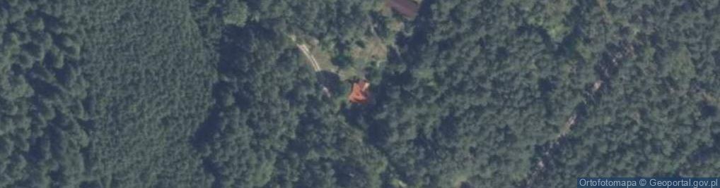 Zdjęcie satelitarne Nowe Mierzwice ul.