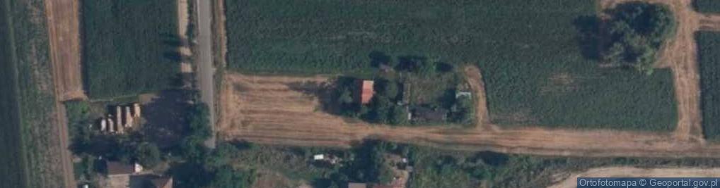 Zdjęcie satelitarne Nowe Mistrzewice ul.