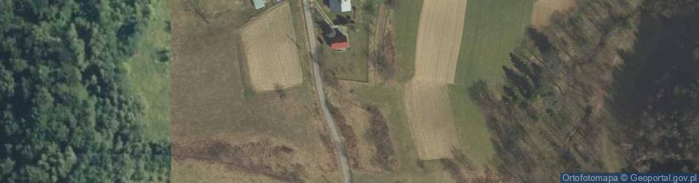 Zdjęcie satelitarne Nowe Rybie ul.