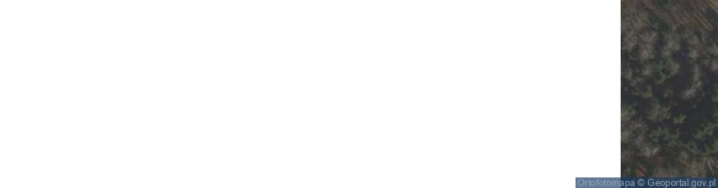 Zdjęcie satelitarne Nowe Rybie ul.