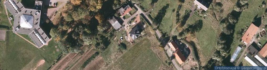 Zdjęcie satelitarne Nowe Siodło ul.
