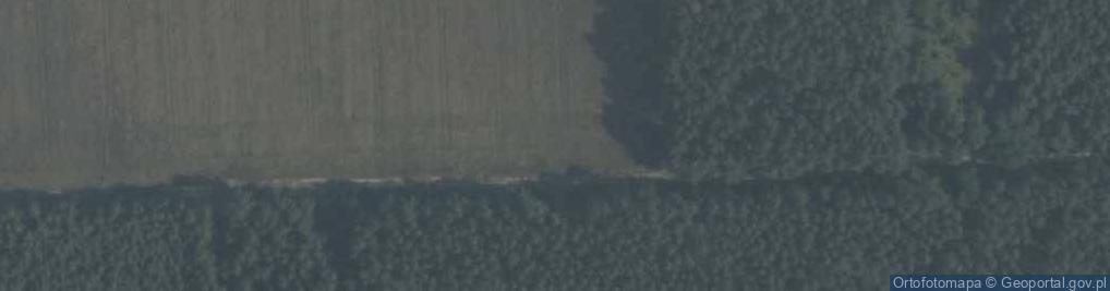 Zdjęcie satelitarne Nowe Studzianki ul.