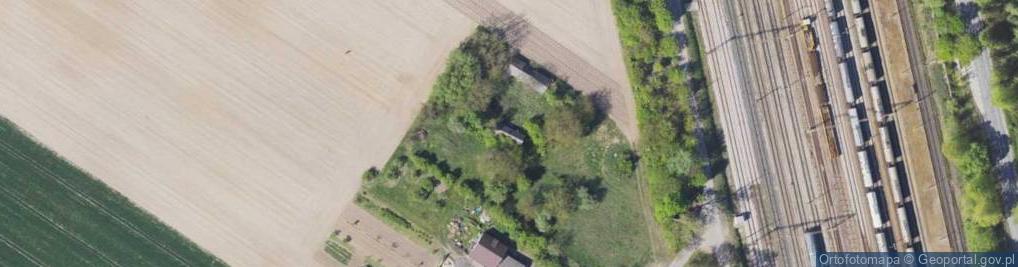 Zdjęcie satelitarne Nowe Trzepowo ul.