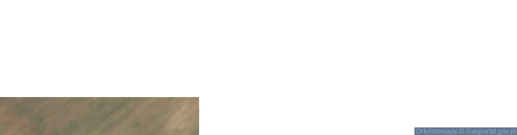 Zdjęcie satelitarne Nowe Żalno ul.