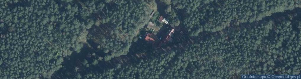 Zdjęcie satelitarne Nowina ul.