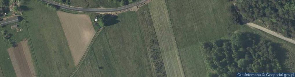 Zdjęcie satelitarne Nowiny Horynieckie ul.