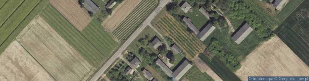 Zdjęcie satelitarne Nowiny ul.
