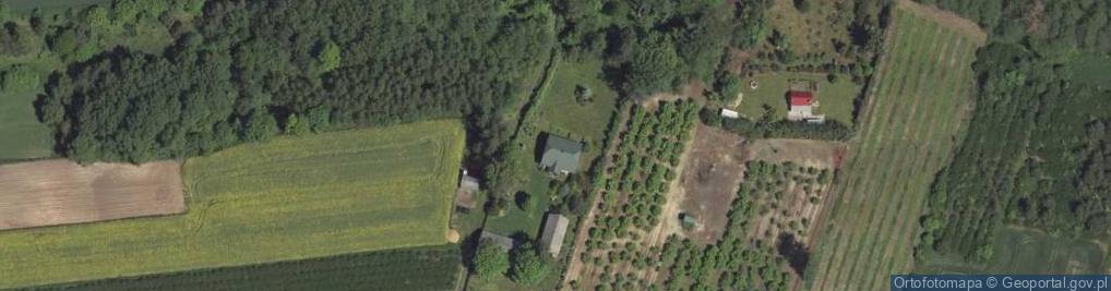 Zdjęcie satelitarne Nowiny ul.