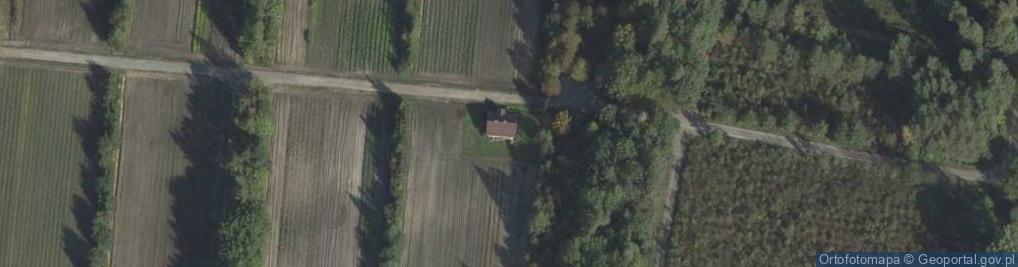 Zdjęcie satelitarne Nowodwór ul.