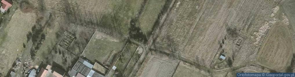 Zdjęcie satelitarne Nowolesie ul.