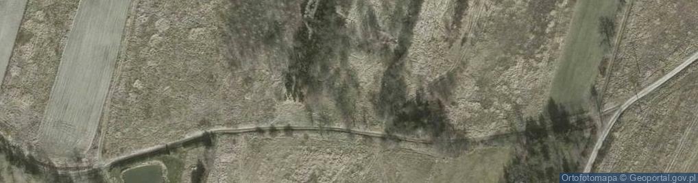 Zdjęcie satelitarne Nowolesie ul.